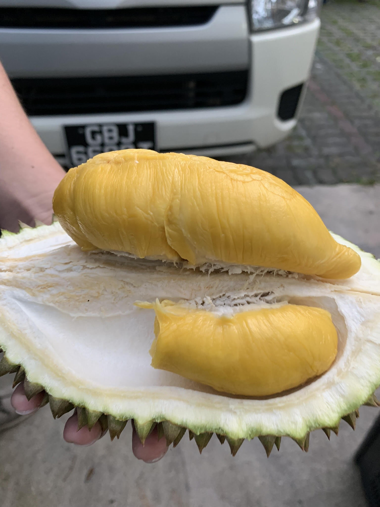 Corporate Durian Party 